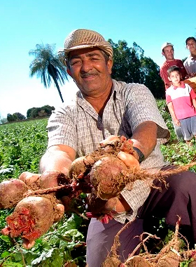 CAF – Agricultura Familiar